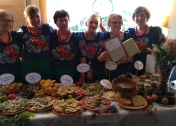 Mielec: Pierogi w różnych smakach i odcieniach.