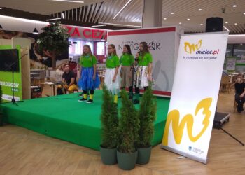 Mielec:  Stawiamy na EKO !