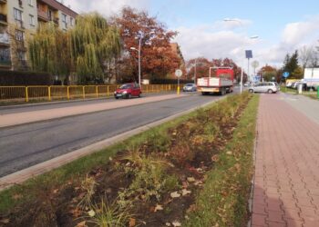 Tarnobrzeg. Będzie bardziej zielono