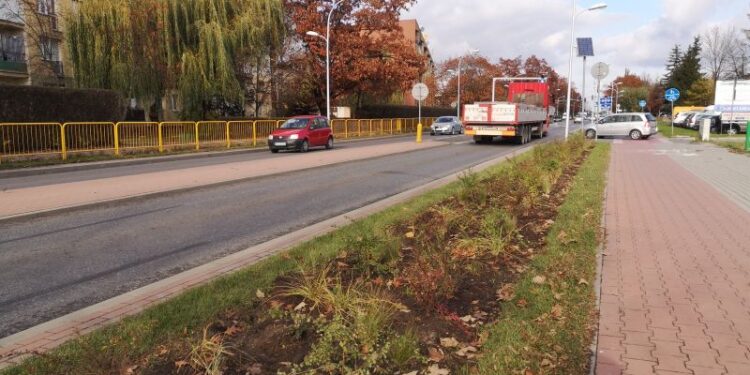 Tarnobrzeg. Będzie bardziej zielono
