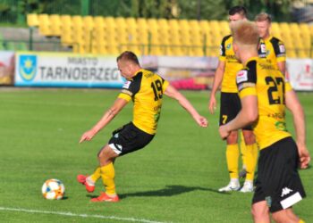 Tarnobrzeg: Podział punktów