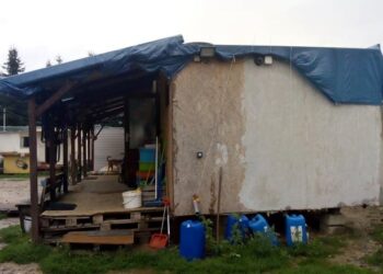 Sandomierz: Jest cztery tysiące, potrzeba ponad czterdzieści. Trwa zbiórka pieniędzy na nowy budynek w schronisku dla bezdomnych zwierząt.