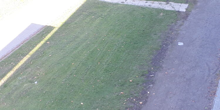 Sandomierz: „Nie wyrzucaj śmieci przez okno!”