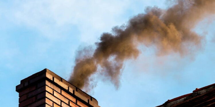 Mielec: Walczą z trucicielami