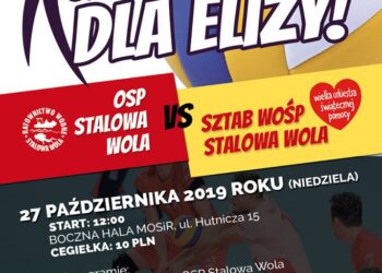 Stalowa Wola: Pomoc dla Elizy