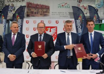 Dębica: Przebudowa obiektu hali lodowiska wraz z zapleczem