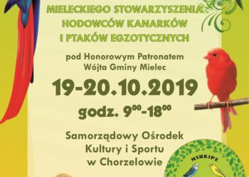 Mielec: W Chorzelowie egzotyczne ptaki