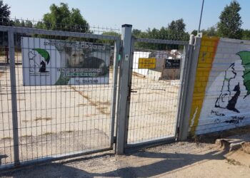 Tarnobrzeg. Każde zwierzę ze schroniska zasługuje na najlepsze.