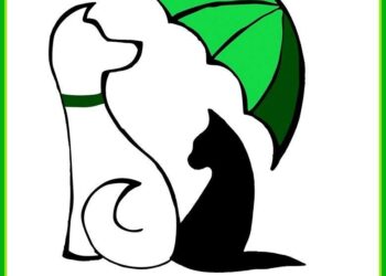 Tarnobrzeg: To nie wolontariusze