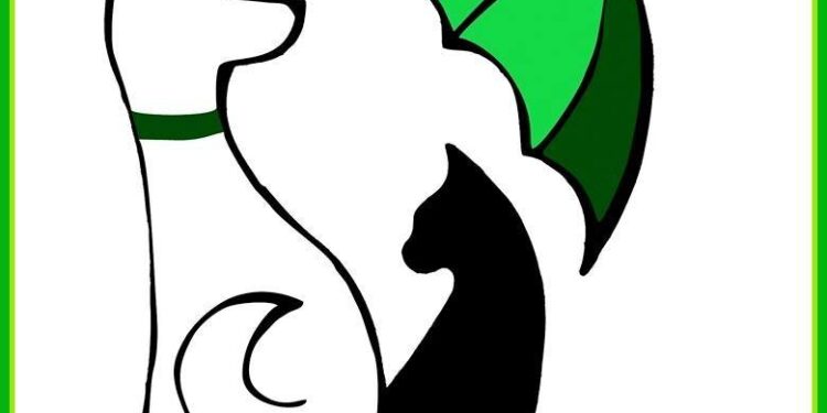 Tarnobrzeg: To nie wolontariusze