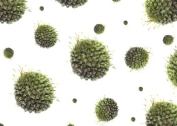 Tarnobrzeg, powiat tarnobrzeski. Zachorowalność na grypę od lat na podobnym poziomie.