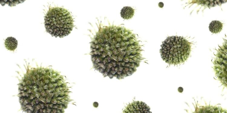 Tarnobrzeg, powiat tarnobrzeski. Zachorowalność na grypę od lat na podobnym poziomie.