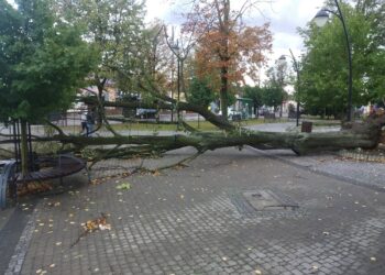 Kolbuszowa: Niszczycielska wichura