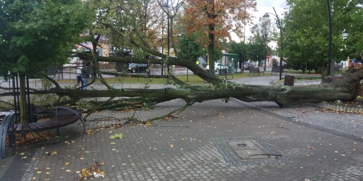 Kolbuszowa: Niszczycielska wichura