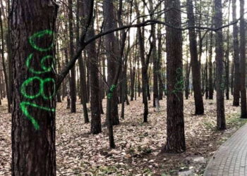 Tarnobrzeg: Integracja na urodziny