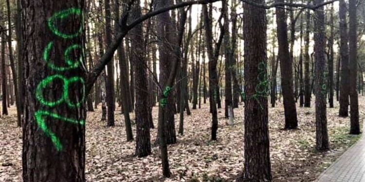 Tarnobrzeg: Integracja na urodziny