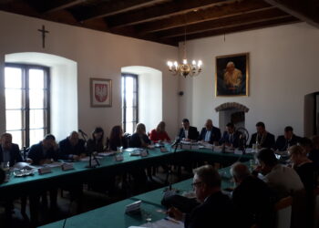 Sandomierz: Czy powstanie farma fotowoltaiczna?