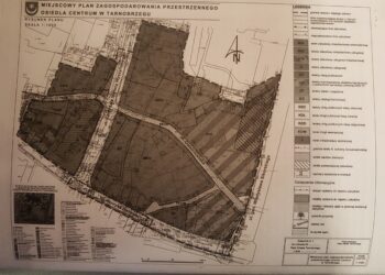 Tarnobrzeg. Łąka w centrum przestanie straszyć?