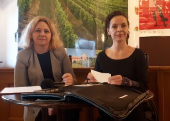 Sandomierz: Na Zamku Królewskim o uprawie winorośli.