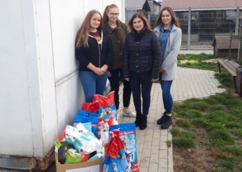 Radomyśl Wielki: Pomogli mieleckiemu schronisku