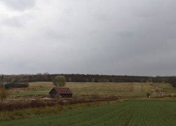 Baranów Sandomierski: Czekają na zimę
