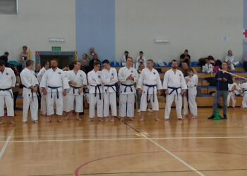 Mielec: Shorin-Ryu Karate jubileuszowo