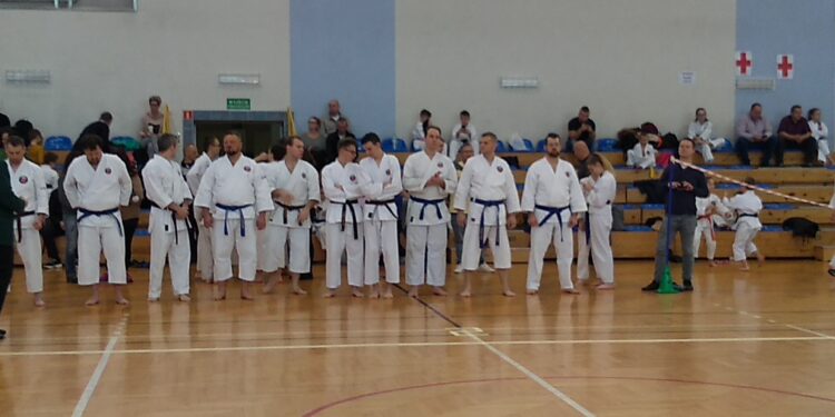 Mielec: Shorin-Ryu Karate jubileuszowo