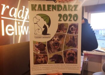 Tarnobrzeg: Kalendarz z bezdomniakami