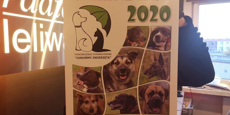 Tarnobrzeg: Kalendarz z bezdomniakami