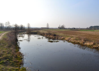 Przyszów: Trwają prace przy zagospodarowaniu starorzecza