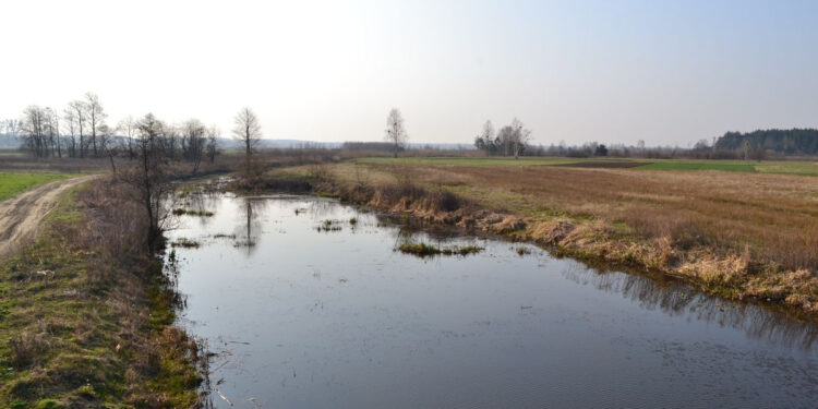 Przyszów: Trwają prace przy zagospodarowaniu starorzecza