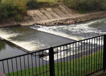 Mielec: Zbadają wpływ elektrowni na Wisłokę