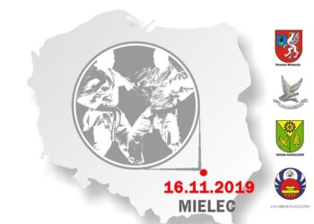 Mielec: Turniej Orlika Młodszego