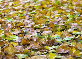 Region: Nowe kierunki lotów