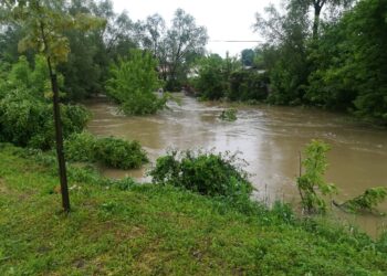 Mielec:  Powrót do monitoringu