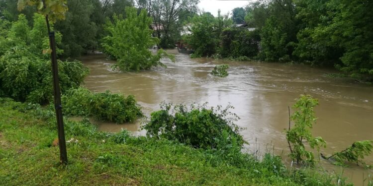 Mielec:  Powrót do monitoringu