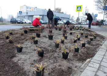 Gorzyce: Będzie bardziej zielono