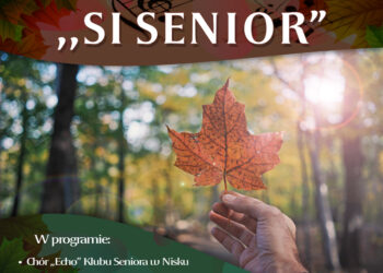 Nisko: W niedzielę Przegląd Si Senior