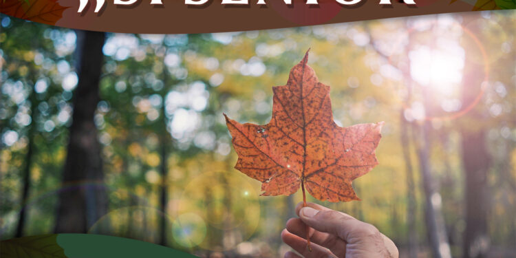 Nisko: W niedzielę Przegląd Si Senior