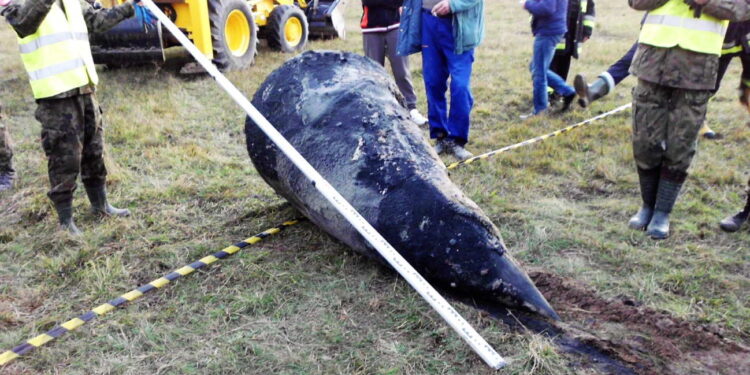 Niwiska: Odnaleźli szczątki rakiety V-2