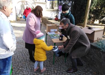 Sandomierz: Drugi dzień kwest na cmentarzach.