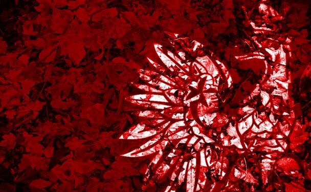 Mielec: Parafia świętuje Niepodległość.