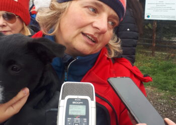 Sandomierz: Chwałowianki pomagają bezdomnym zwierzętom.