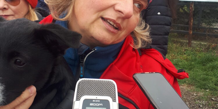 Sandomierz: Chwałowianki pomagają bezdomnym zwierzętom.