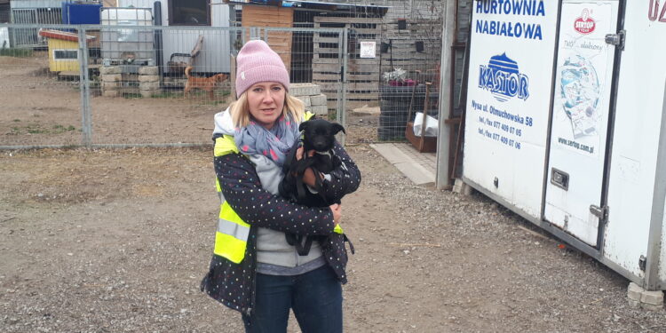 Sandomierz: Chwałowianki pomagają bezdomnym zwierzętom.