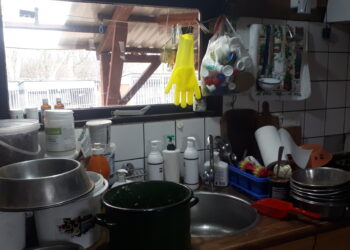 Sandomierz: Zostań Mikołajem lub Gwiazdką dla schroniska dla bezdomnych psów.