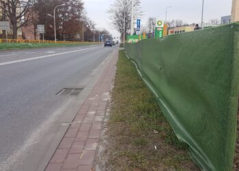 Tarnobrzeg. Osłony przed solą wzdłuż głównej arterii komunikacyjnej miasta.