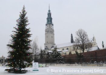 Region: Świętokrzyska choinka na Jasnej Górze