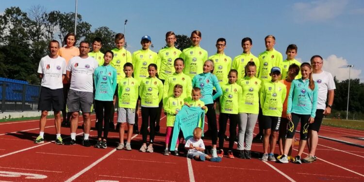 Stalowa Wola: Rok Alana Witasa