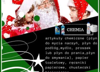 Stalowa Wola: Zielono-czarny Mikołaj